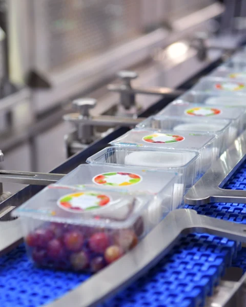 botek-pro-gida-ve-paketleme-otomasyonu Botek Pro - Endüstriyel Otomasyon Çözümleri - Gıda ve Paketleme Otomasyonu